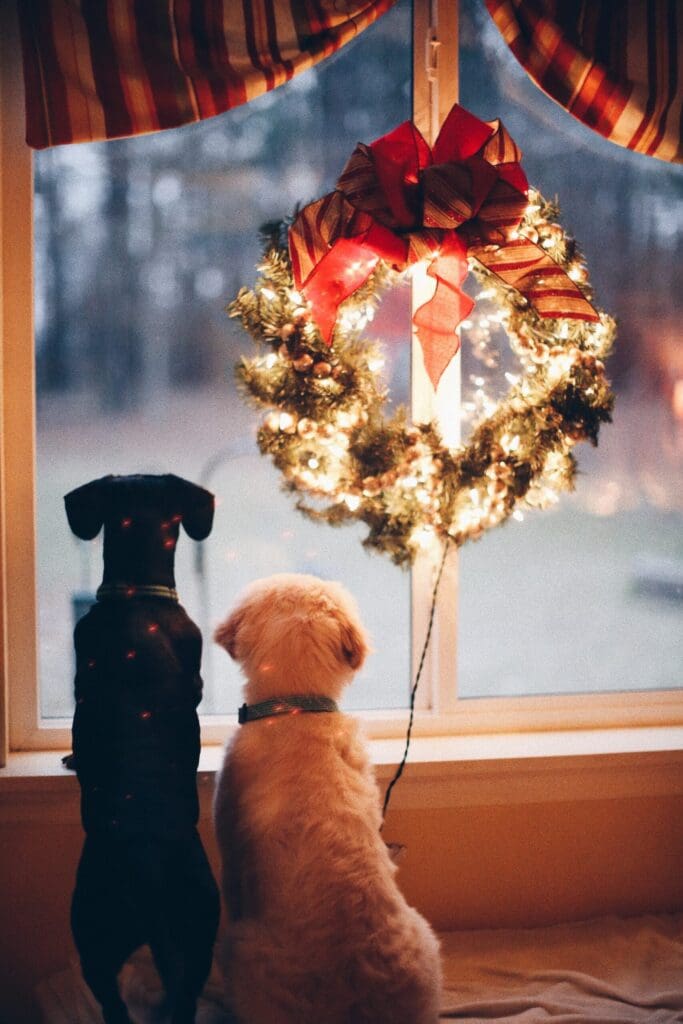 Christmas Celebration